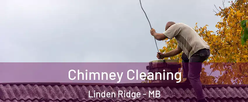  Chimney Cleaning Linden Ridge - MB