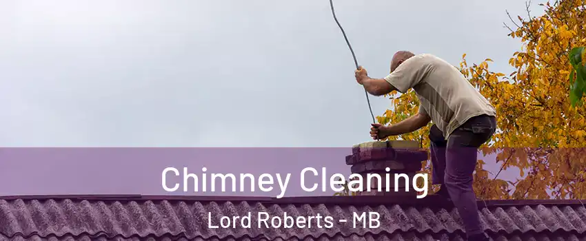  Chimney Cleaning Lord Roberts - MB