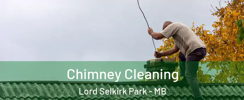  Chimney Cleaning Lord Selkirk Park - MB