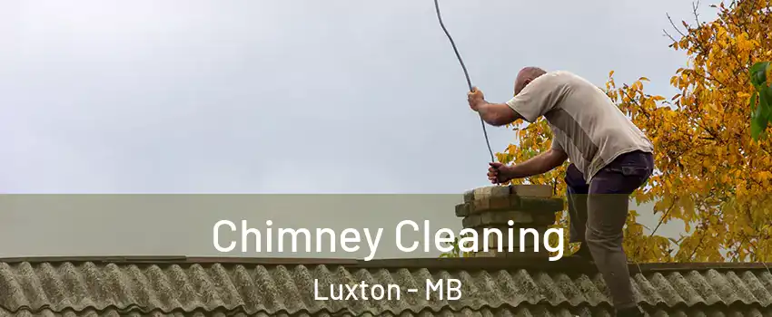  Chimney Cleaning Luxton - MB