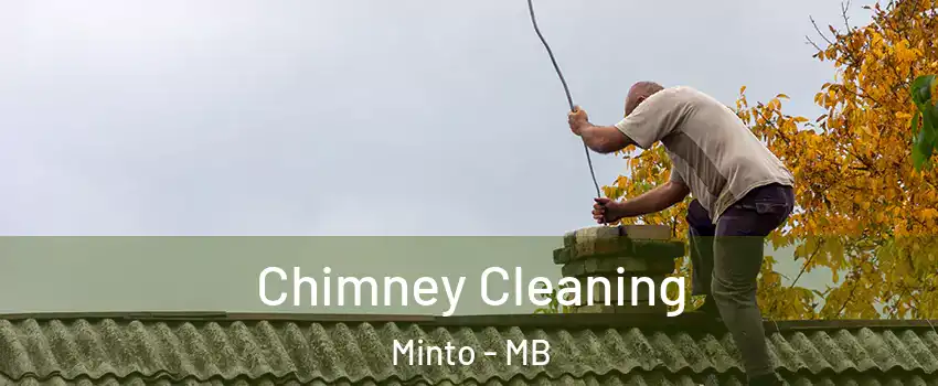  Chimney Cleaning Minto - MB
