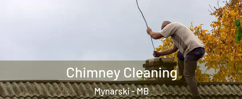  Chimney Cleaning Mynarski - MB