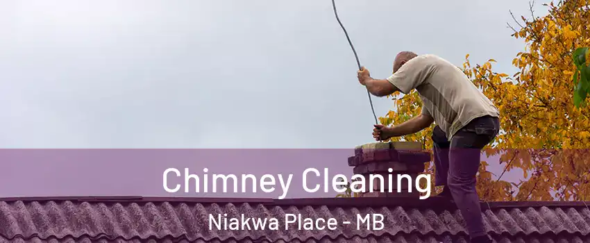  Chimney Cleaning Niakwa Place - MB