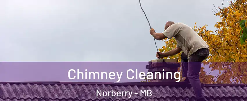  Chimney Cleaning Norberry - MB