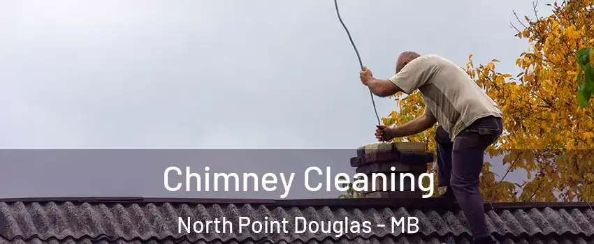  Chimney Cleaning North Point Douglas - MB