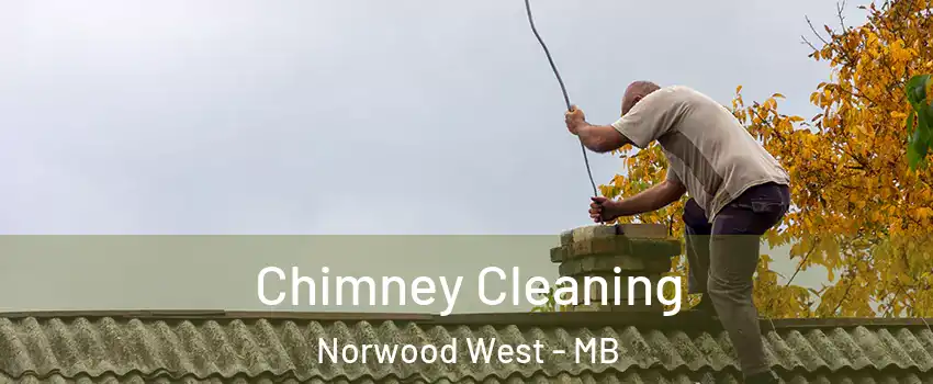  Chimney Cleaning Norwood West - MB