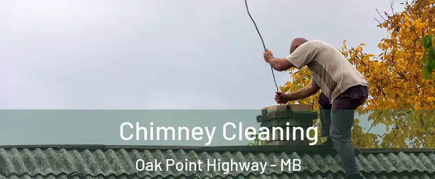  Chimney Cleaning Oak Point Highway - MB