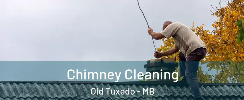  Chimney Cleaning Old Tuxedo - MB