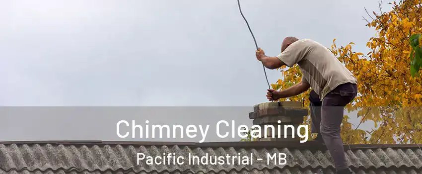  Chimney Cleaning Pacific Industrial - MB