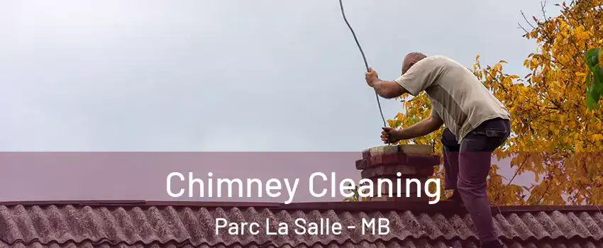  Chimney Cleaning Parc La Salle - MB