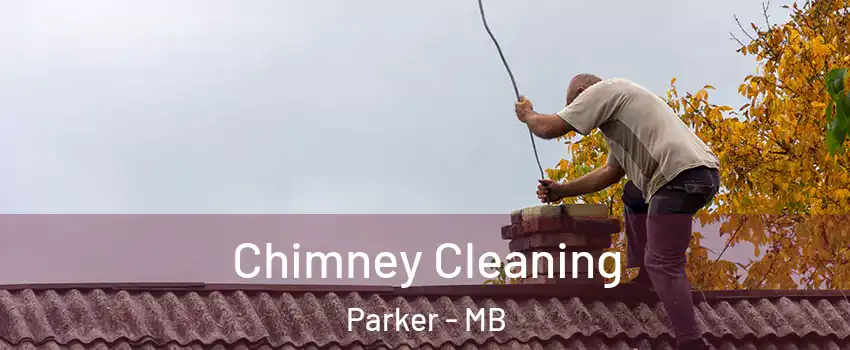  Chimney Cleaning Parker - MB