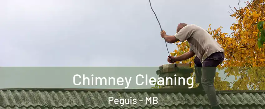  Chimney Cleaning Peguis - MB