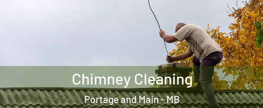  Chimney Cleaning Portage and Main - MB