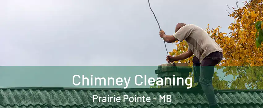  Chimney Cleaning Prairie Pointe - MB