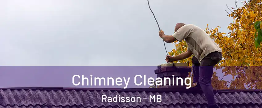  Chimney Cleaning Radisson - MB