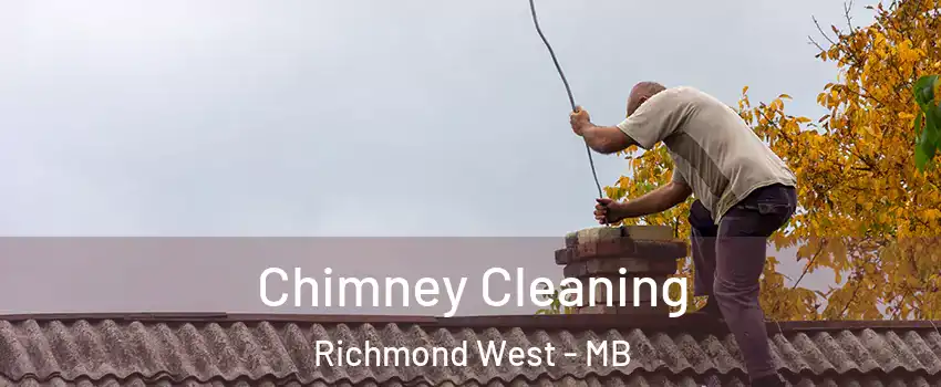  Chimney Cleaning Richmond West - MB