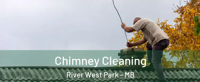  Chimney Cleaning River West Park - MB