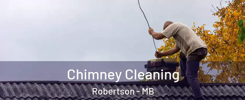  Chimney Cleaning Robertson - MB