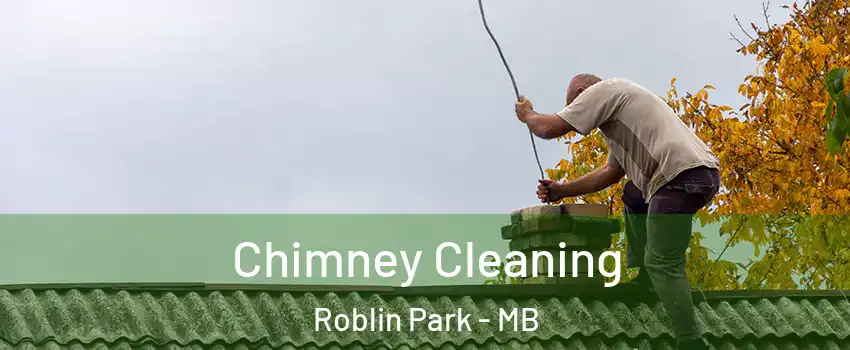  Chimney Cleaning Roblin Park - MB