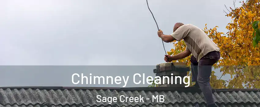 Chimney Cleaning Sage Creek - MB