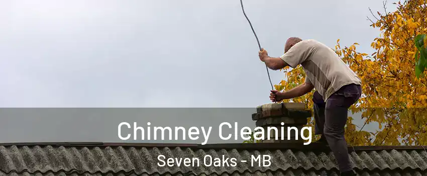 Chimney Cleaning Seven Oaks - MB