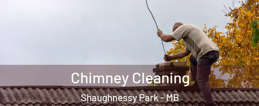  Chimney Cleaning Shaughnessy Park - MB