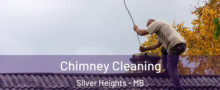  Chimney Cleaning Silver Heights - MB