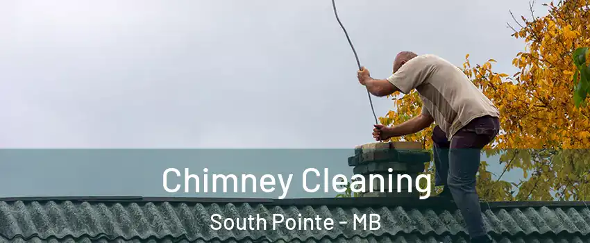  Chimney Cleaning South Pointe - MB