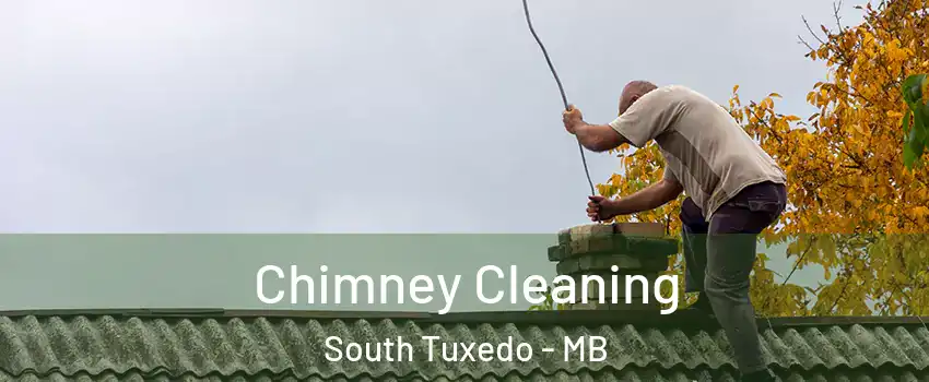  Chimney Cleaning South Tuxedo - MB