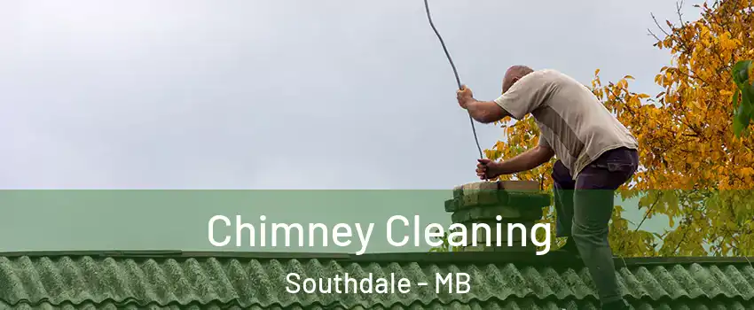 Chimney Cleaning Southdale - MB