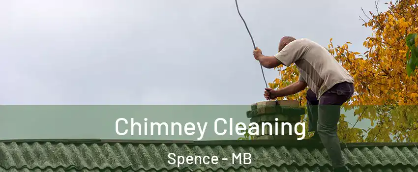  Chimney Cleaning Spence - MB