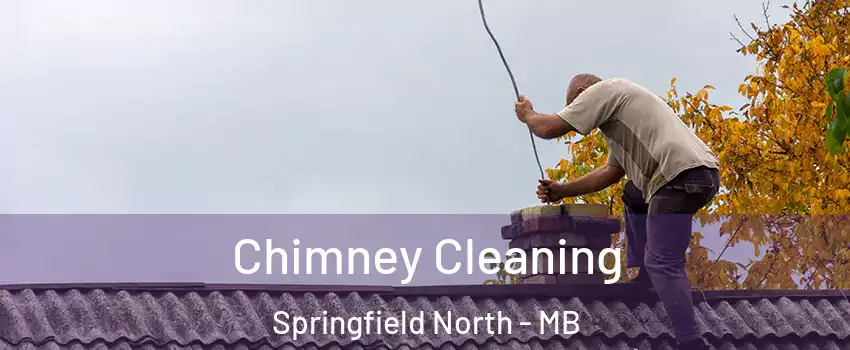  Chimney Cleaning Springfield North - MB