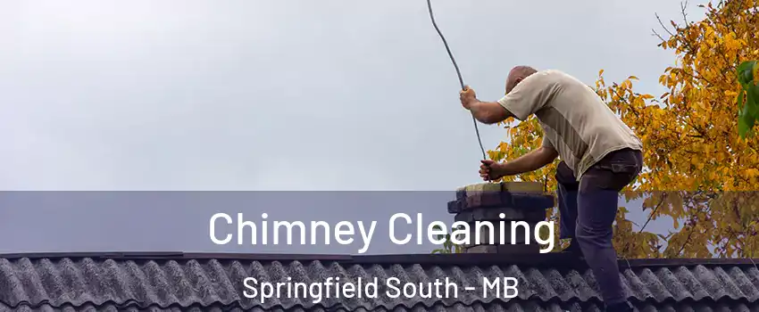  Chimney Cleaning Springfield South - MB