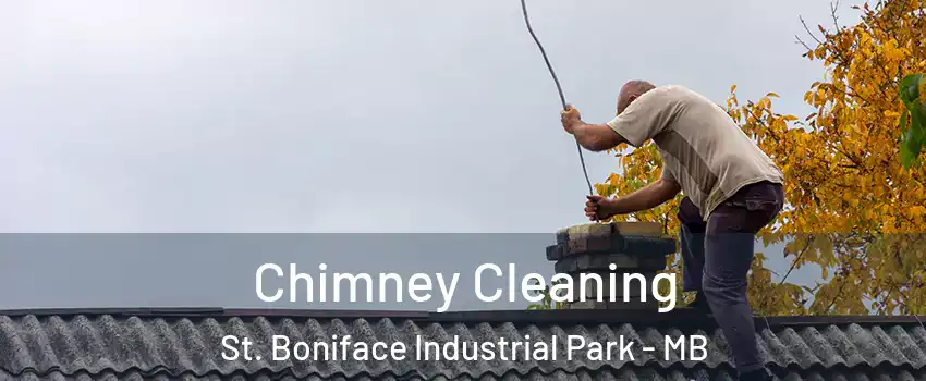  Chimney Cleaning St. Boniface Industrial Park - MB