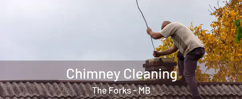  Chimney Cleaning The Forks - MB