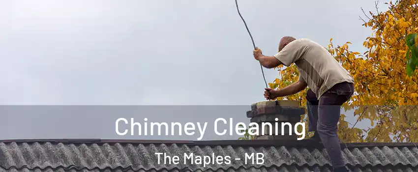  Chimney Cleaning The Maples - MB