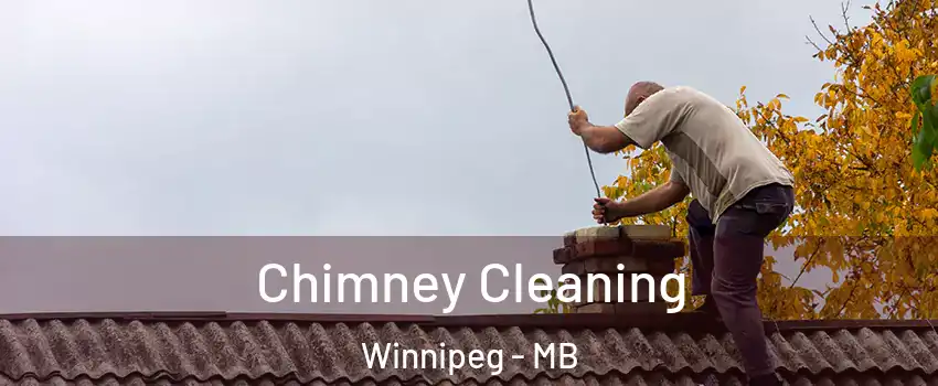  Chimney Cleaning Winnipeg - MB