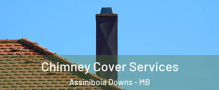  Chimney Cover Services Assiniboia Downs - MB