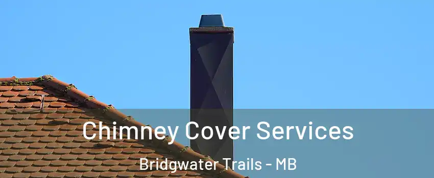  Chimney Cover Services Bridgwater Trails - MB