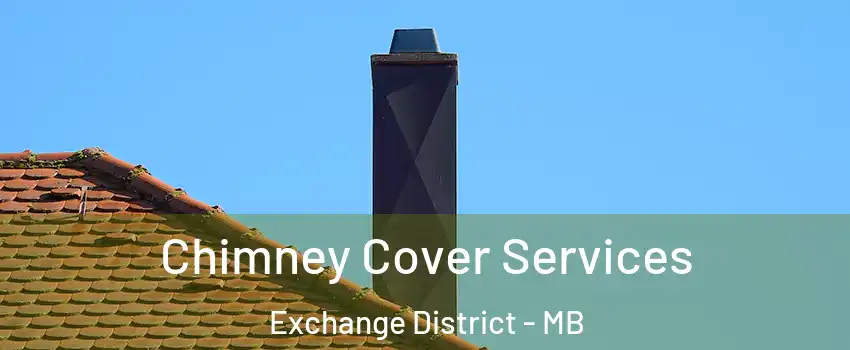  Chimney Cover Services Exchange District - MB