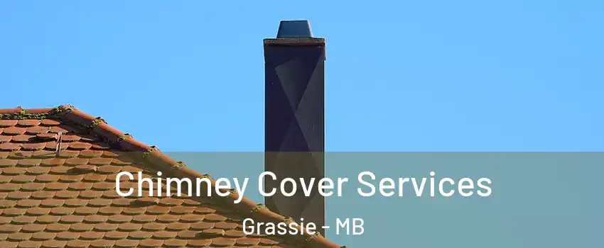  Chimney Cover Services Grassie - MB