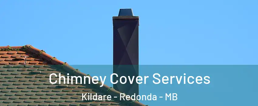  Chimney Cover Services Kildare - Redonda - MB