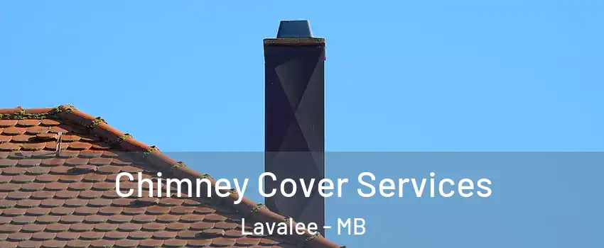  Chimney Cover Services Lavalee - MB