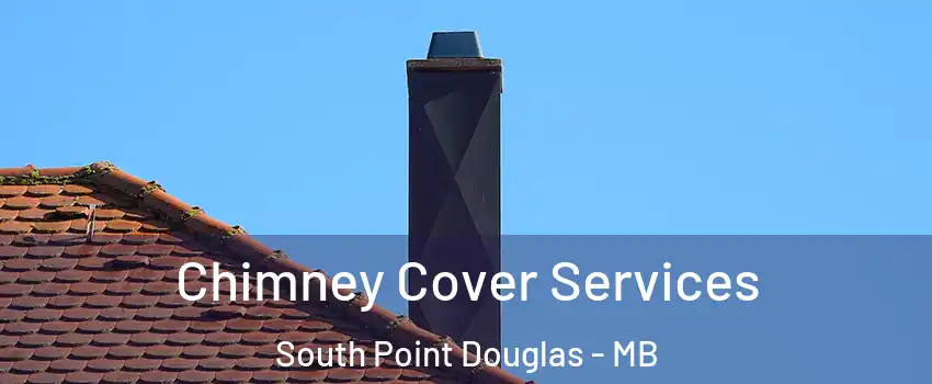  Chimney Cover Services South Point Douglas - MB