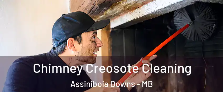  Chimney Creosote Cleaning Assiniboia Downs - MB