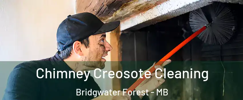  Chimney Creosote Cleaning Bridgwater Forest - MB