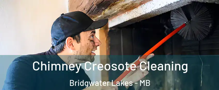  Chimney Creosote Cleaning Bridgwater Lakes - MB