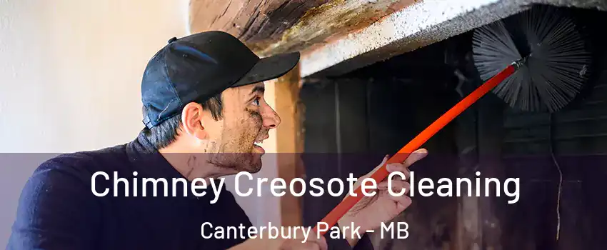  Chimney Creosote Cleaning Canterbury Park - MB