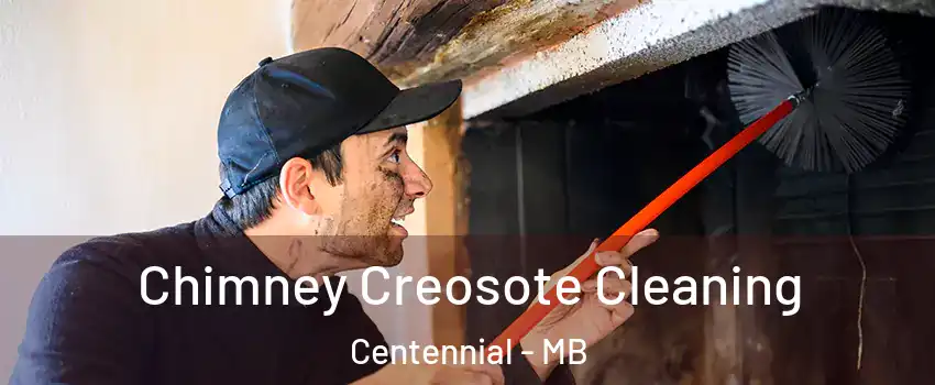 Chimney Creosote Cleaning Centennial - MB