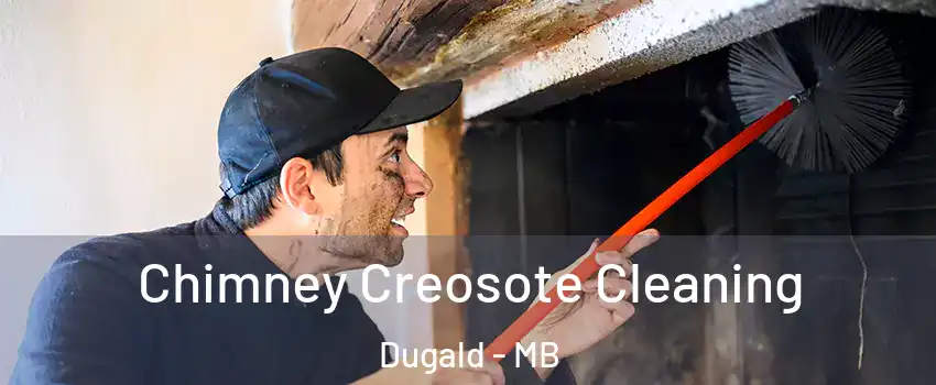  Chimney Creosote Cleaning Dugald - MB